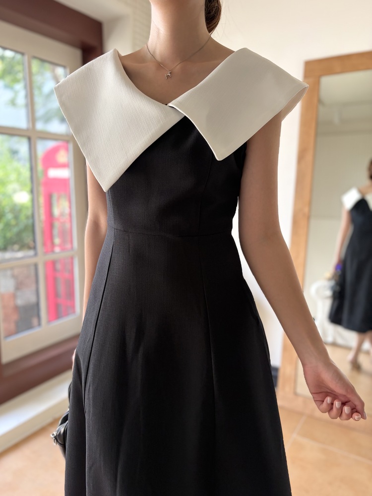 Celine Contrast Collar Dress