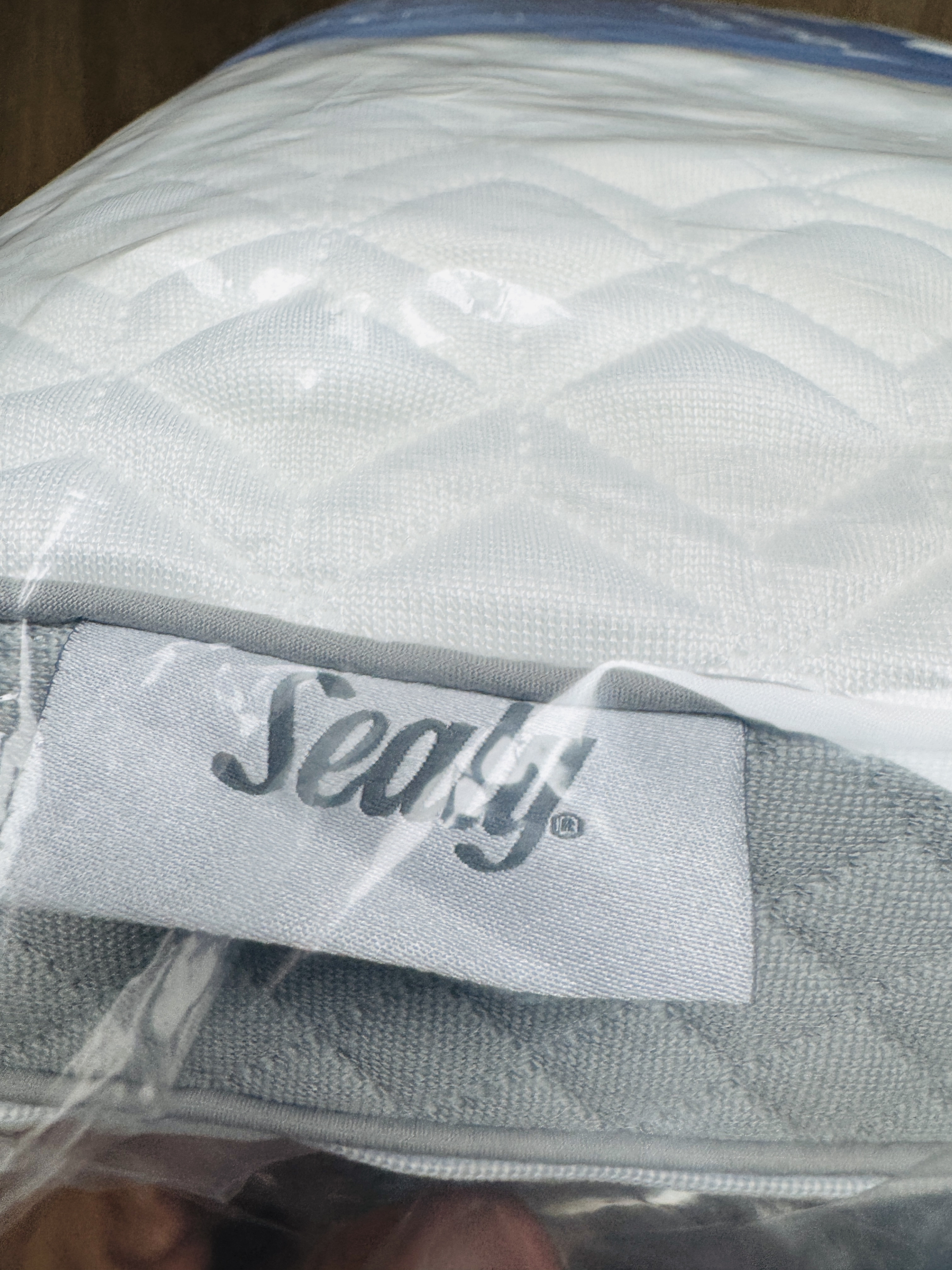 💤 Sealy 記憶棉枕頭｜美國品牌．舒適承托．香港少量現貨