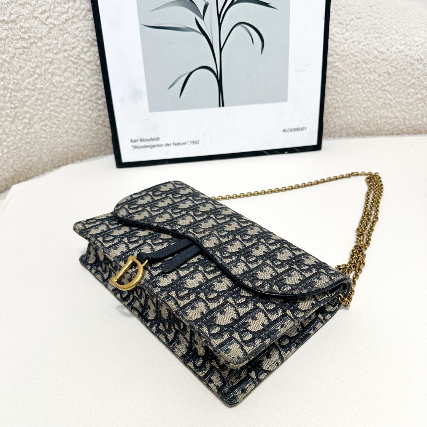 【預訂貨品】Dior Saddle 經典老花信封包