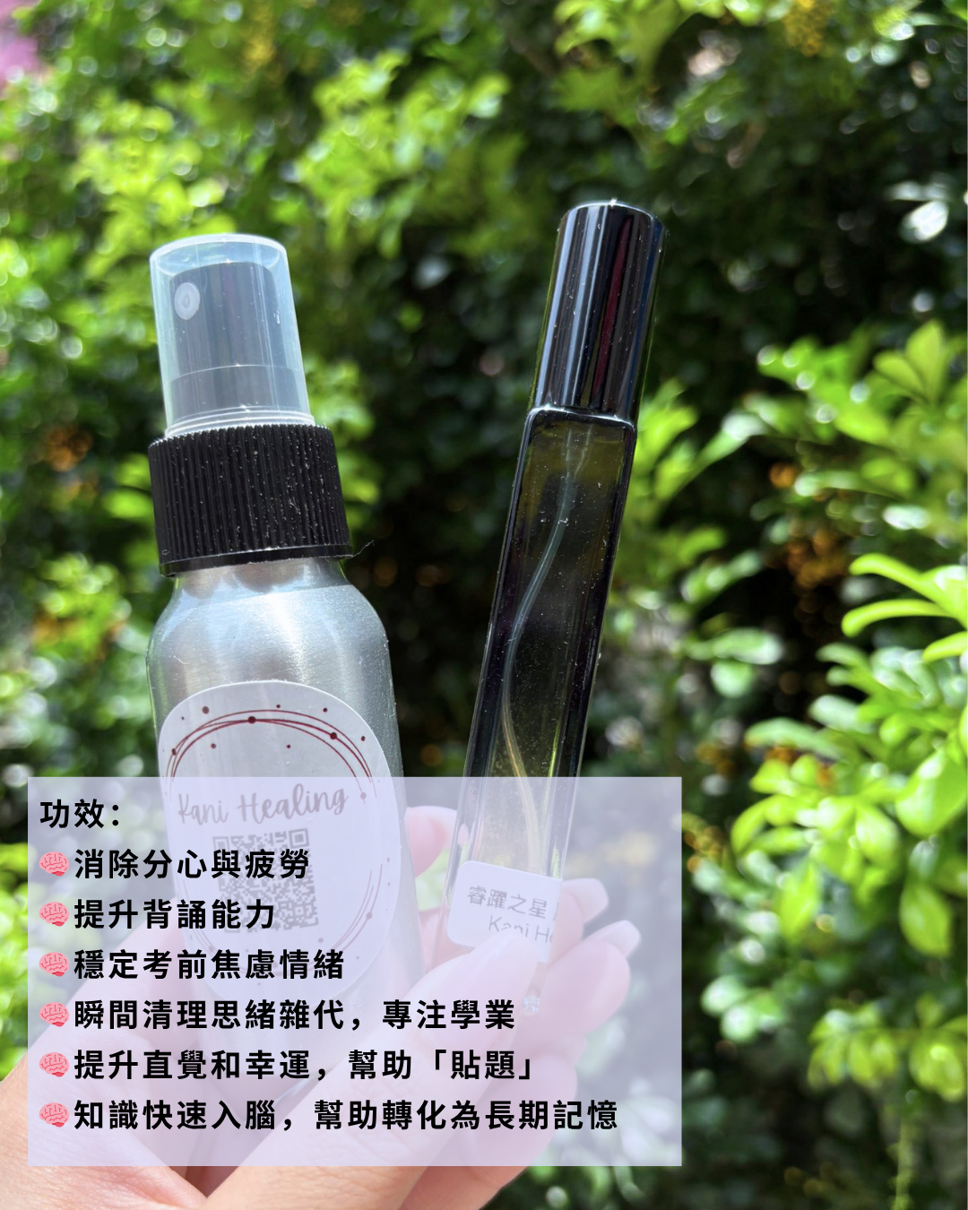 🧠學業躍進：睿躍之星 魔法噴霧🌟