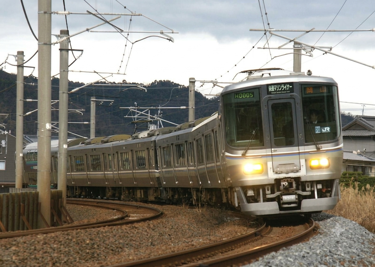 Tomix HO JR223系 市郊快速列車 四節基礎組