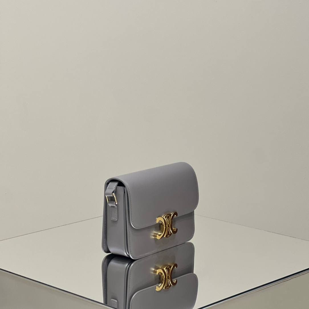 🔥大货实拍图 𝗖𝗘𝗟𝗜𝗡𝗘 ♥ 𝗧𝗘𝗘𝗡 𝗧𝗥𝗜𝗢𝗠𝗣𝗛𝗘 型号：188423 中号尺寸：22.5*16*7cm 小号尺寸：18.5*14*6cm