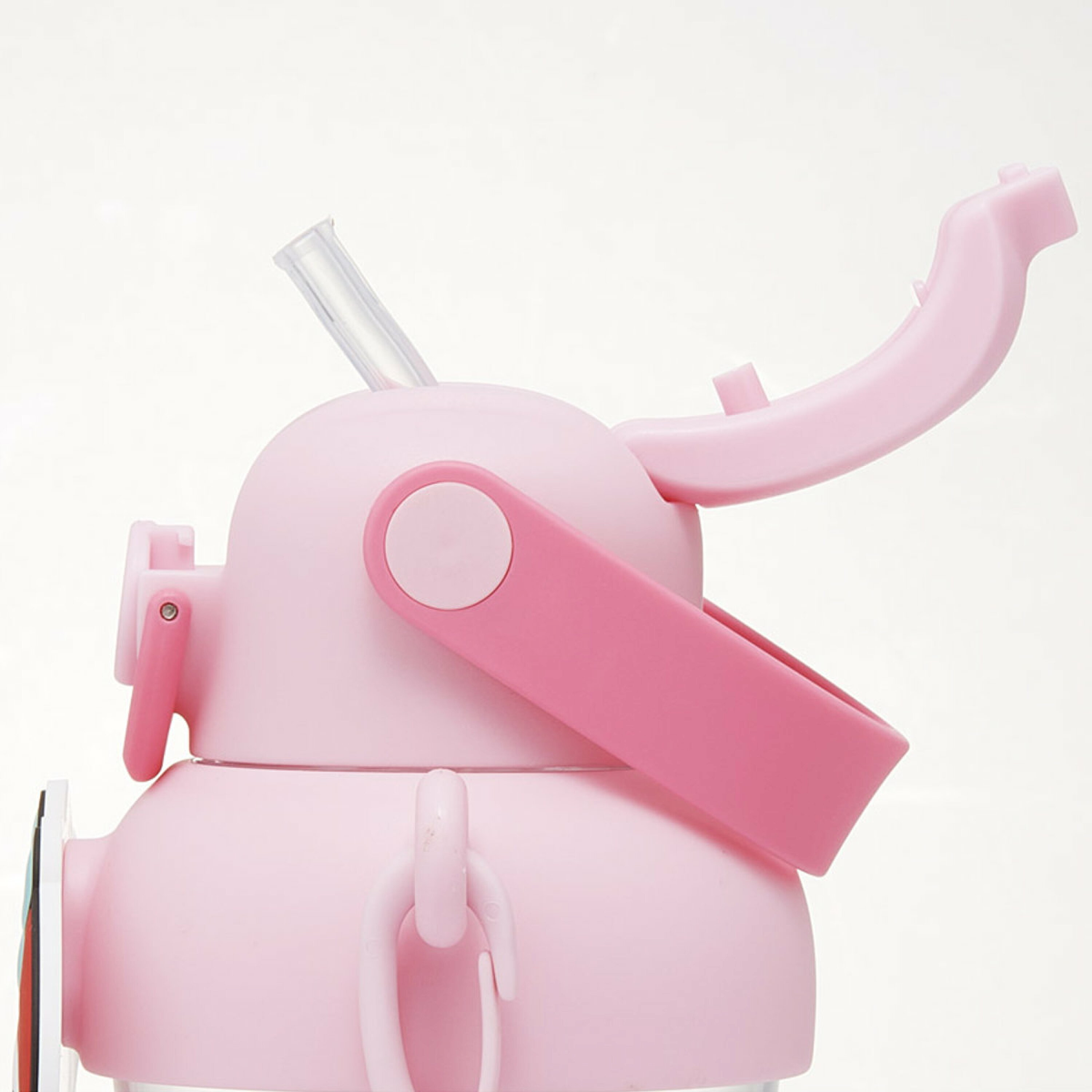 現貨🇯🇵Skater 大容量吸管水樽 650ml -melody