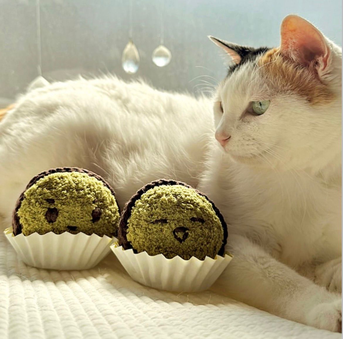 韓國🇰🇷 杜拜麻糬朱古力貓草玩具 （1set 2粒）