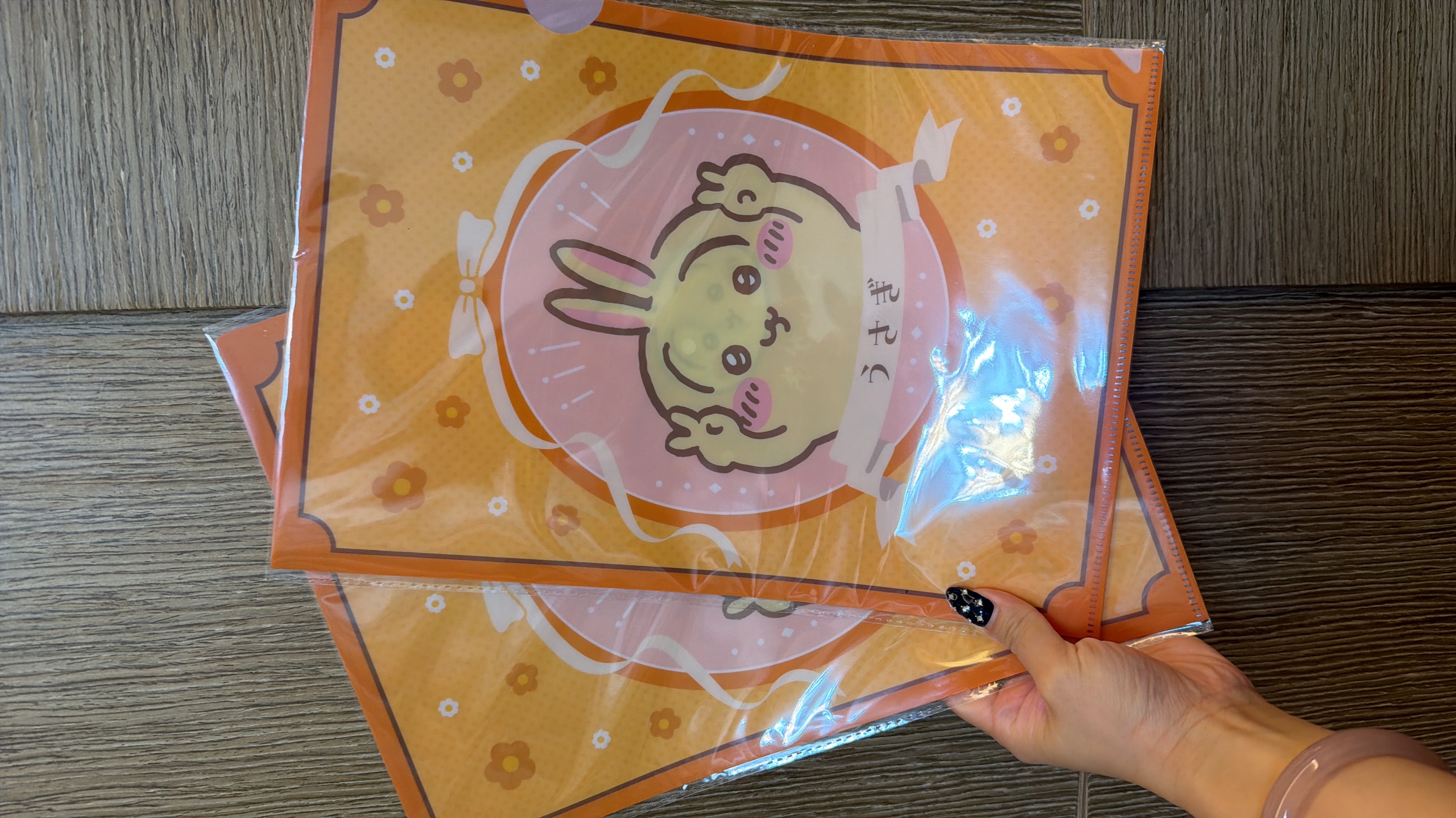 現貨 日本CHIIKAWA 兔兔 A4 FILE