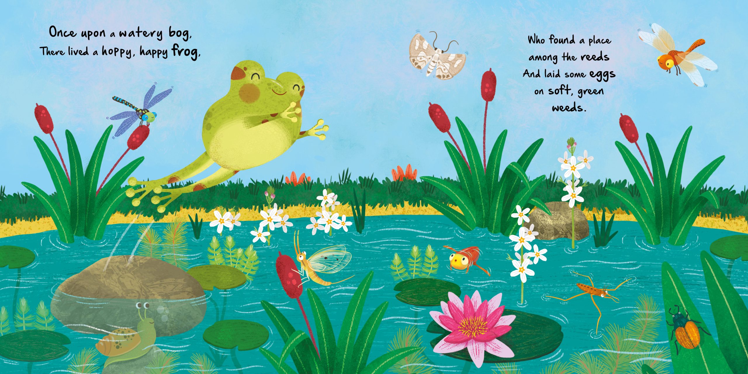 Igloo Books - Mini Story Book - Little Frog
