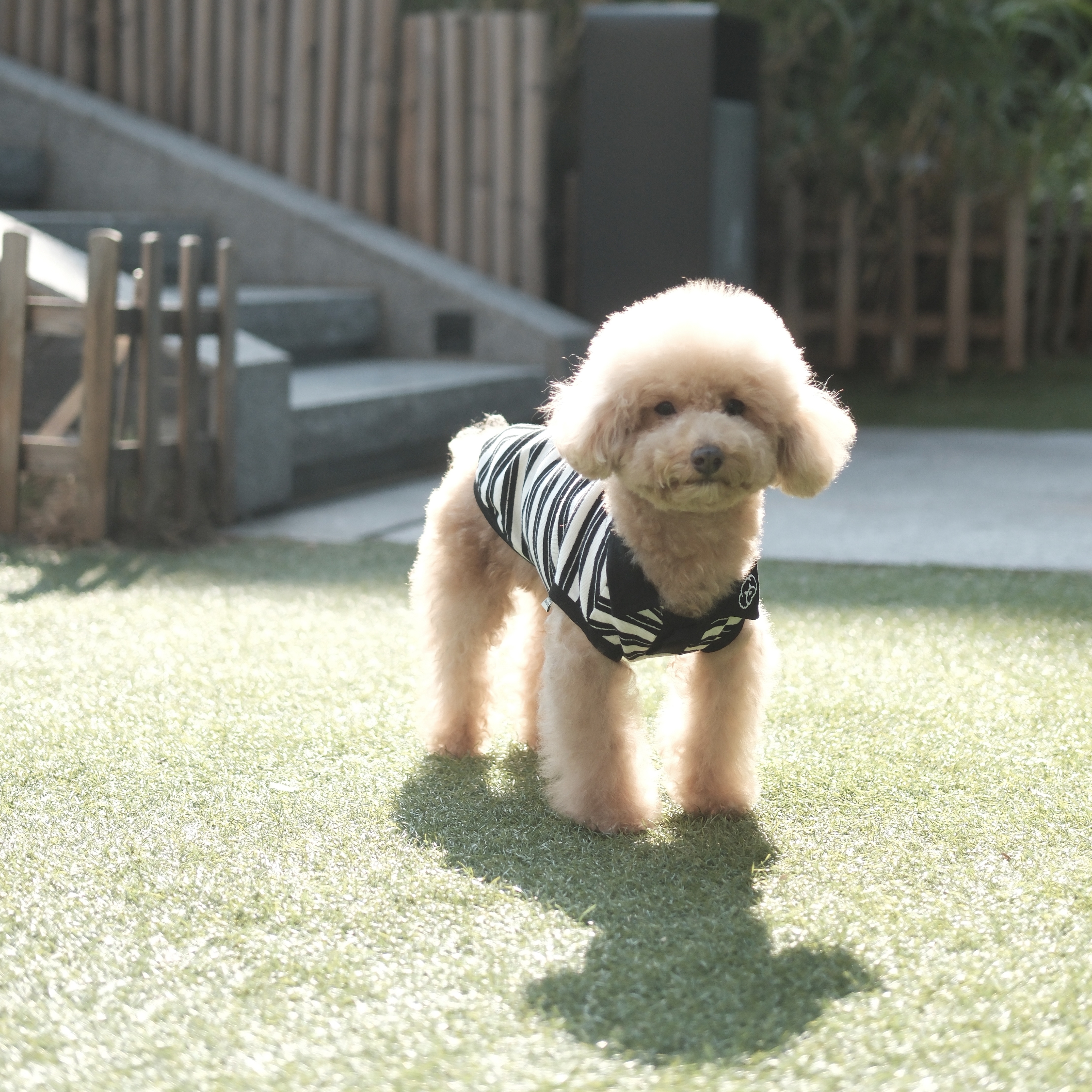 S650   黑白條紋T恤 Black and white striped T-shirt