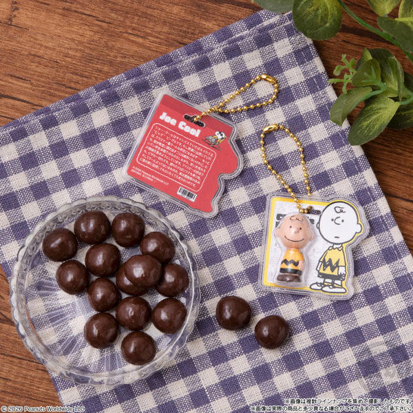 🧲預訂26年10月：日版 PEANUTS SNOOPY 迷你公仔吊飾 食玩（原box=10包）figure