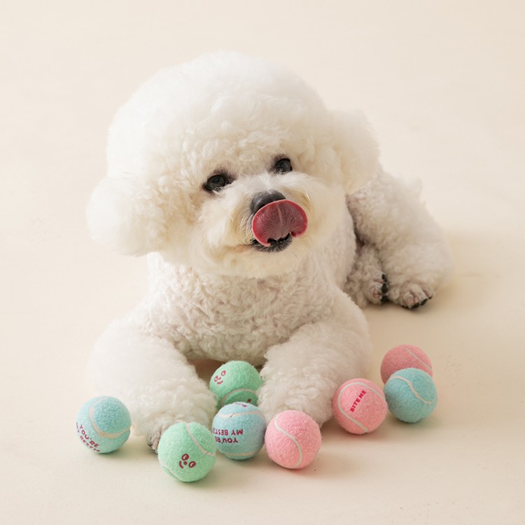 *預購 BiteMe🇰🇷Mini Tennis Balls Toy 3pcs