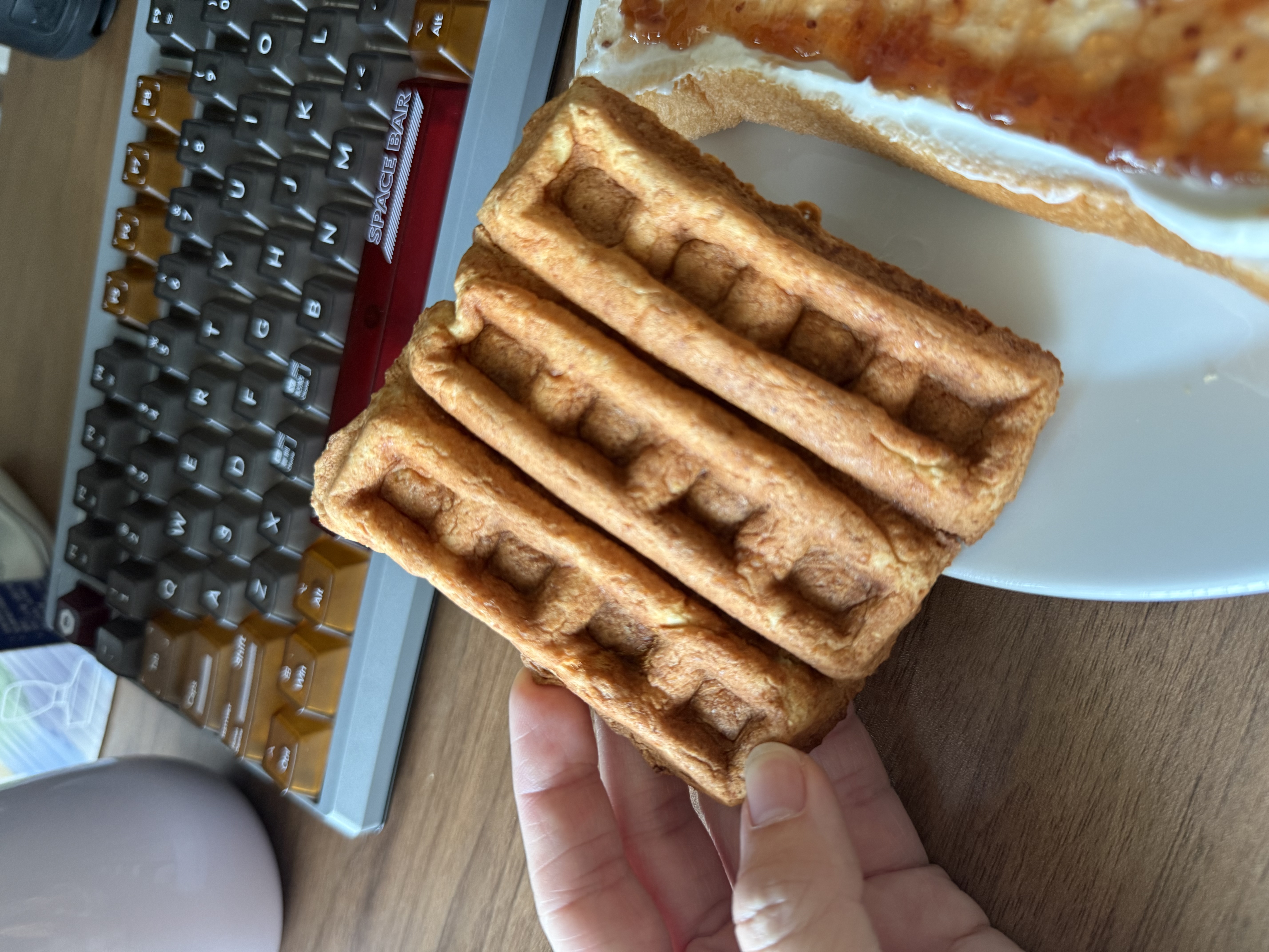 [FIN]Protein Fiber Waffle