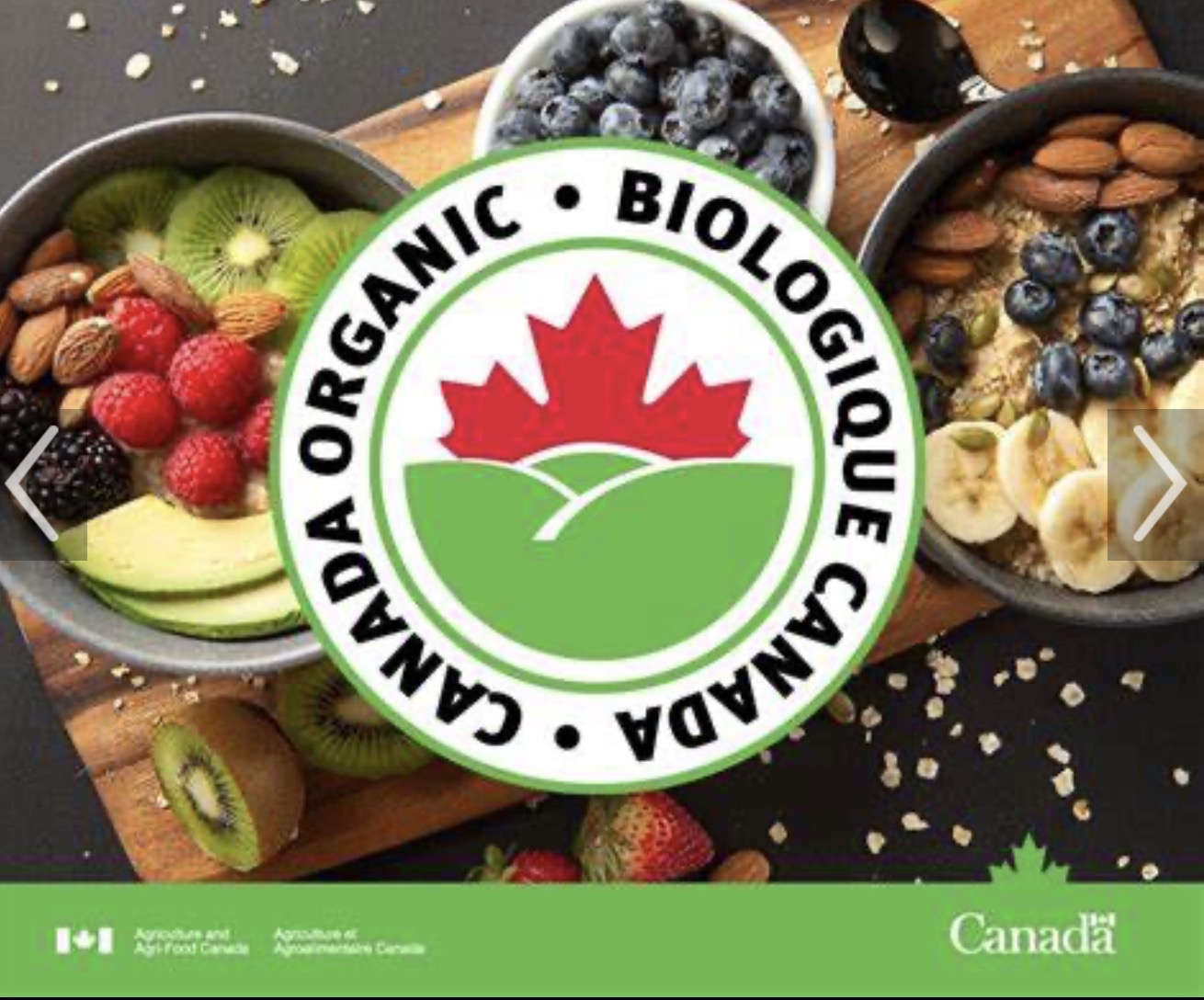 Organic Traditions 有機杞子 454g