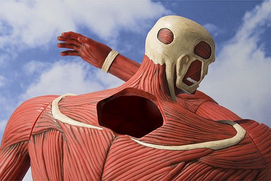 《魂商店限定》超大型巨人 存錢筒 Figure 進擊的巨人 高約60cm