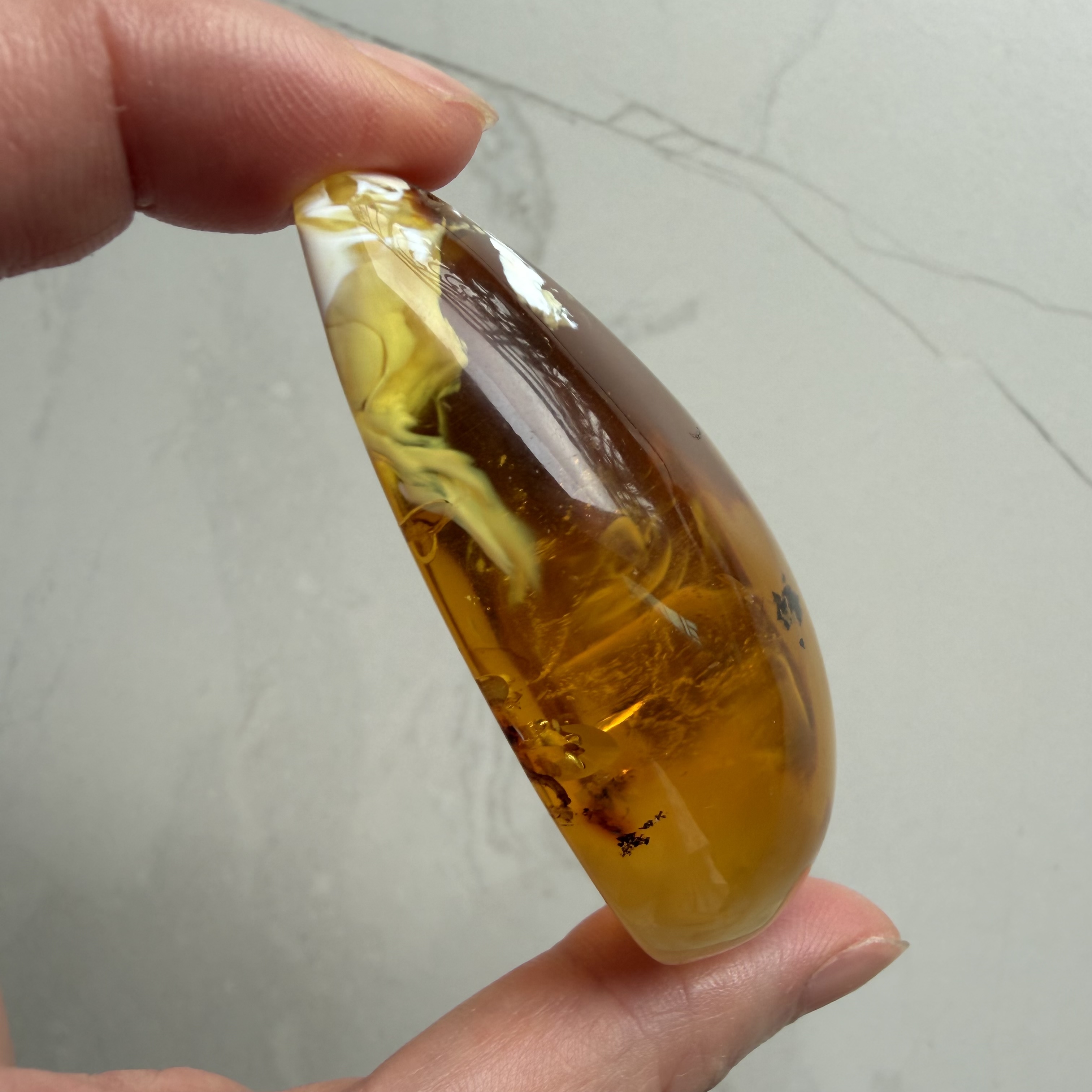 ［閉店一口價］波羅的海金瓷白熒光植物意境珀