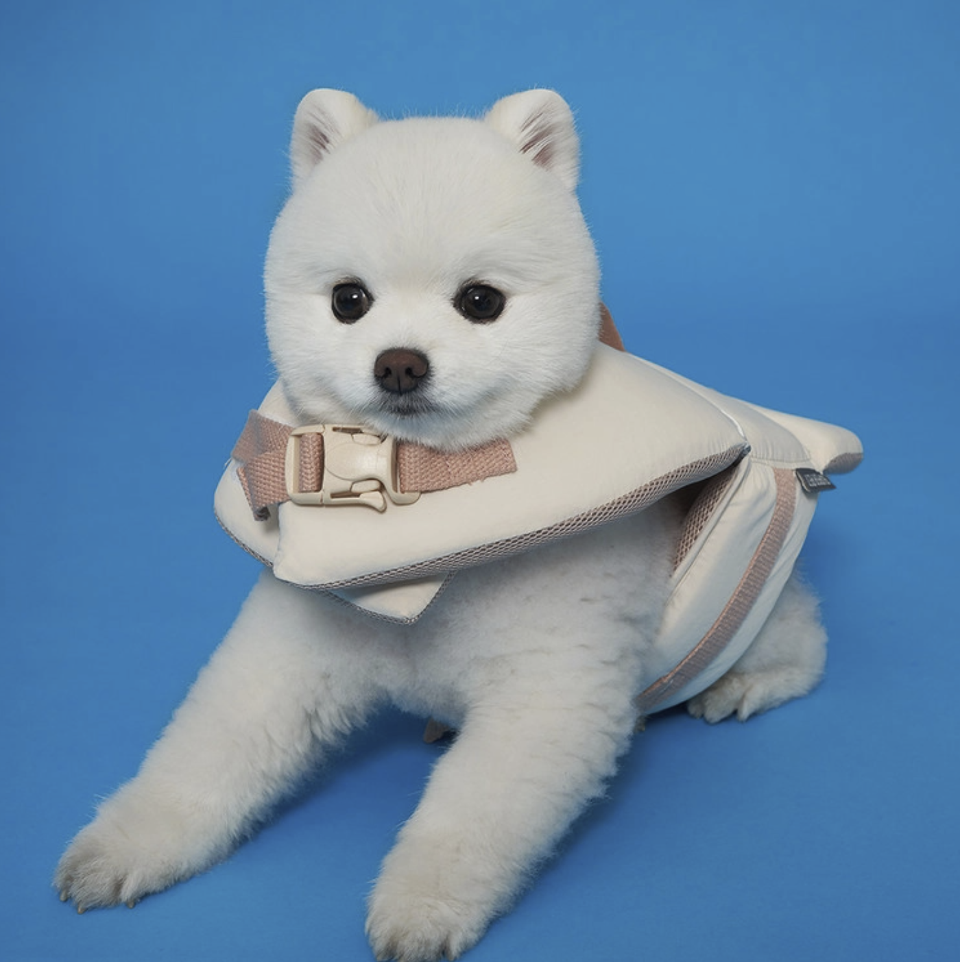 *SuperPet 🇰🇷 夏日必備 Joyful 狗狗救生衣