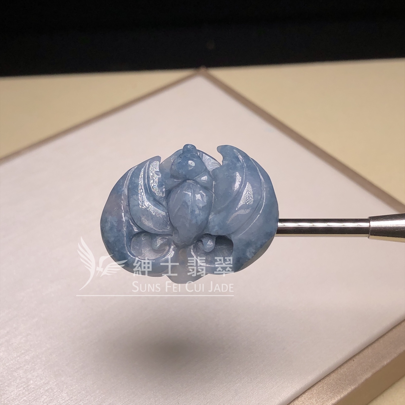 茄紫飄藍花福鼠  B08457