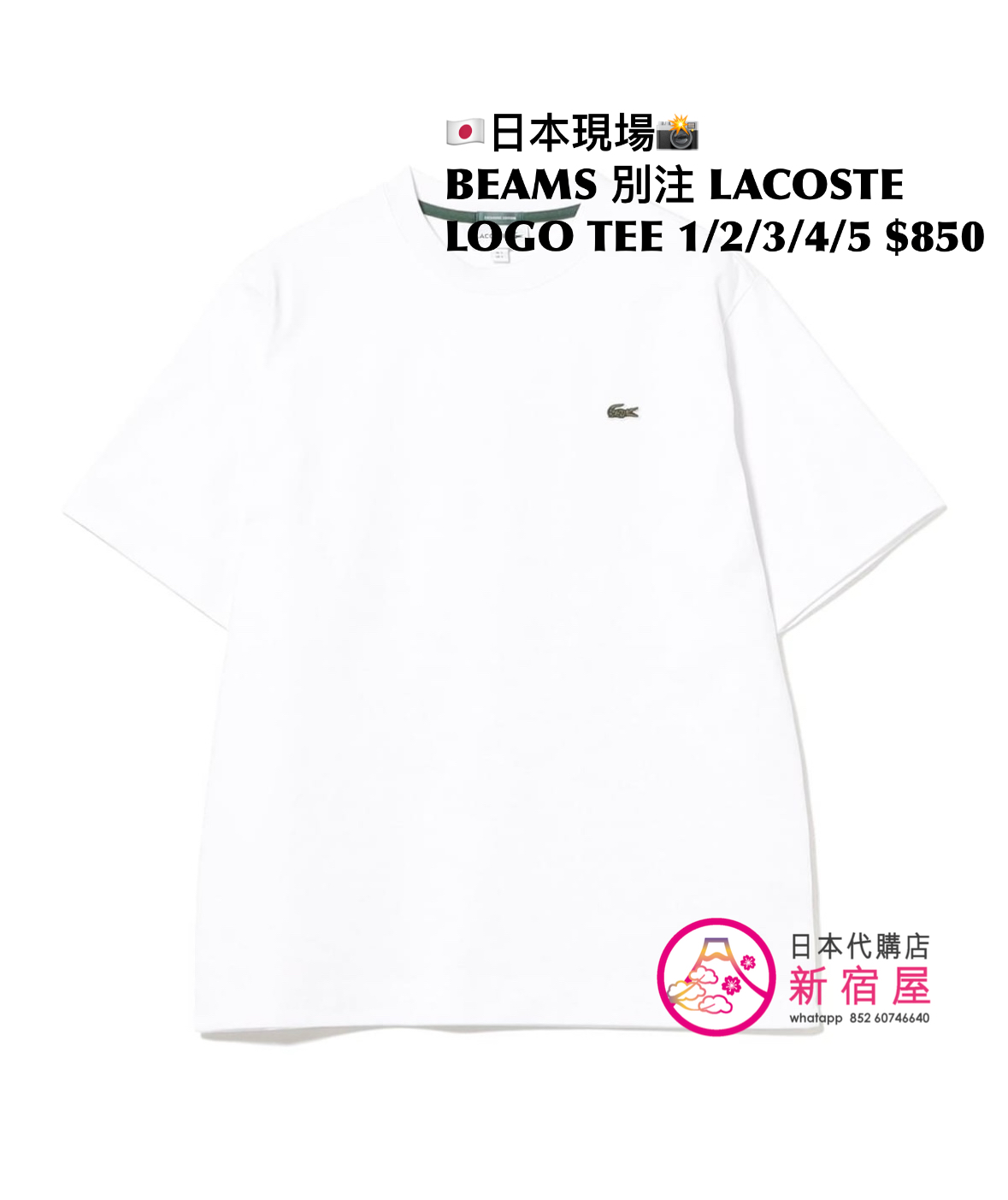 BEAMS 別注 LACOSTE LOGO T-SHIRT