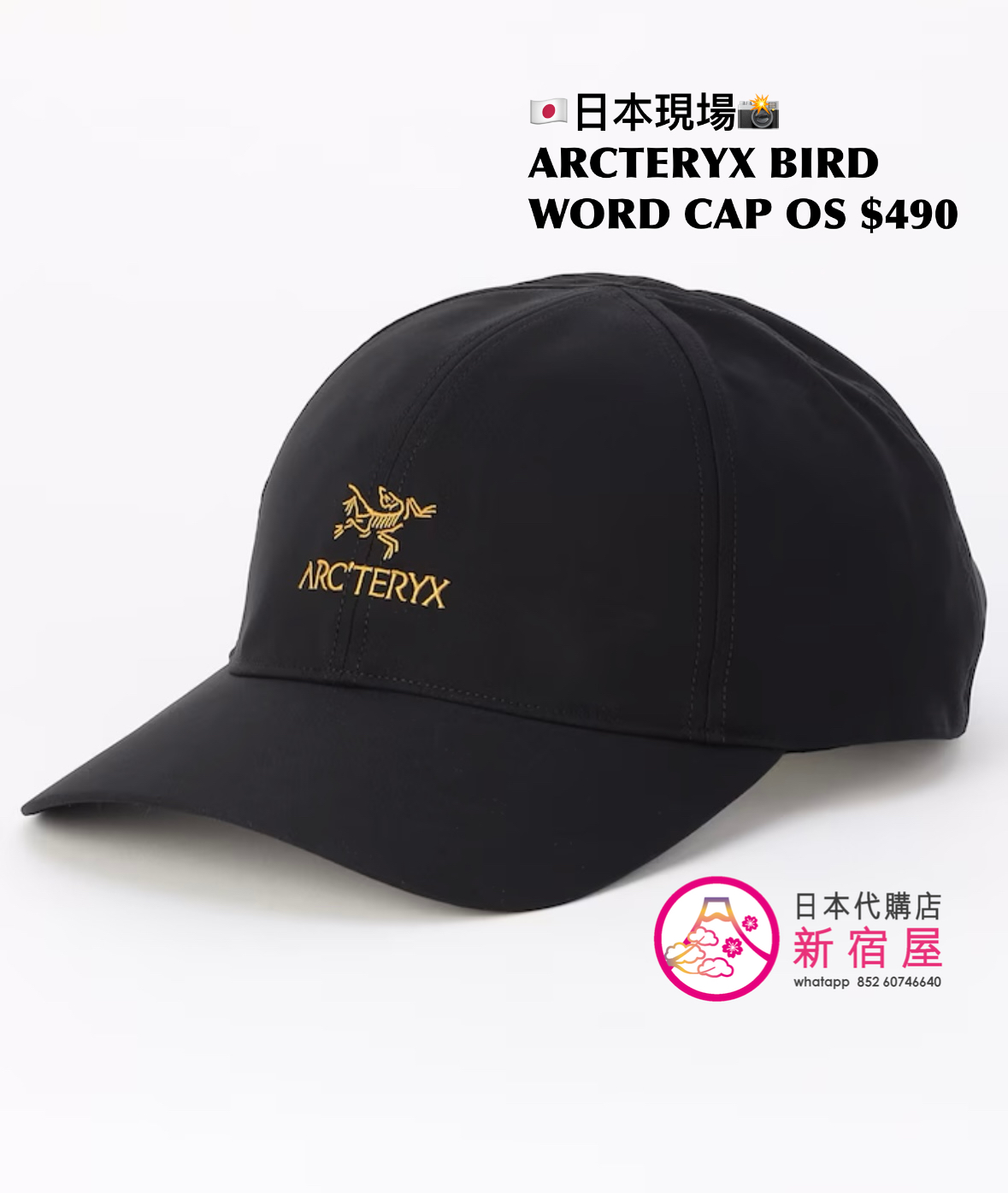 ARCTERYX BIRD WORD CAP