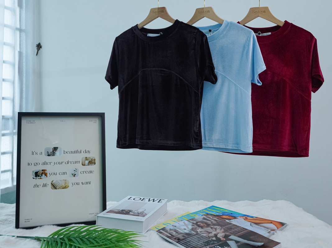 Velvet-Texture Short Sleeve Top with Seam Detail ‖ 丝绒质感拼接短袖上衣 KR01162679