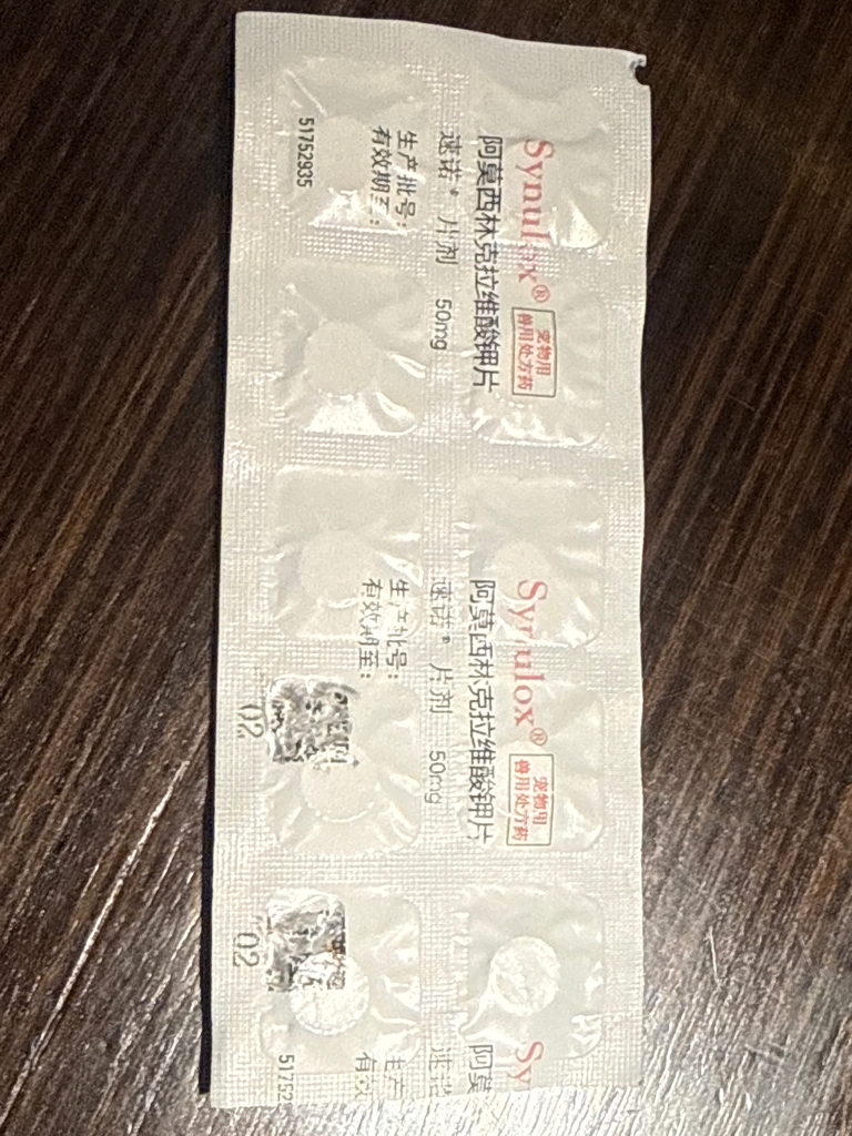 [現貨] 貓狗用感冒消炎藥 速諾®️片劑 50mg (5粒裝)