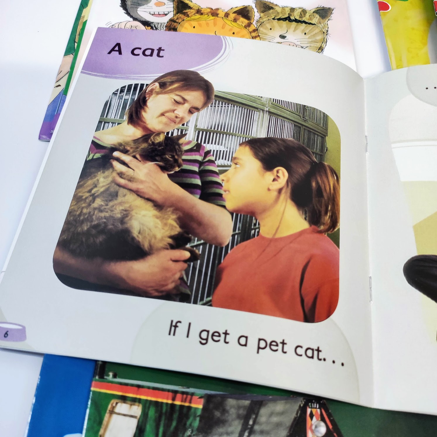 Oxford reading tree phonics (48 books)  | Floppy’s Phonics Level 1 and 2 | C59