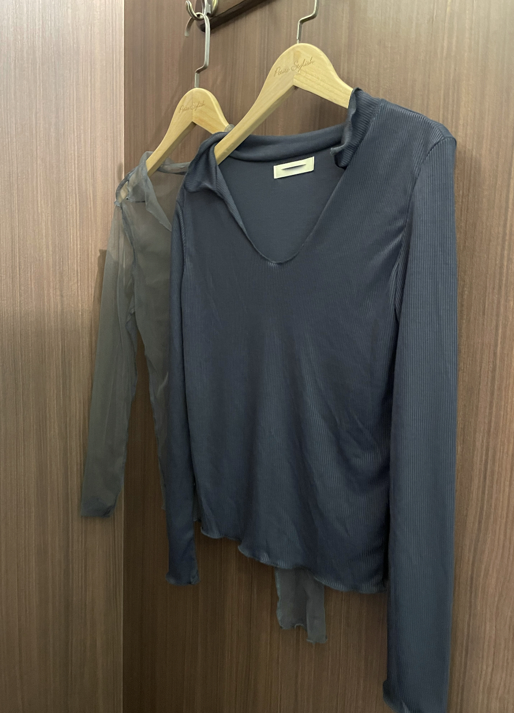 🍂SEE-THROUGH LAYER TOP