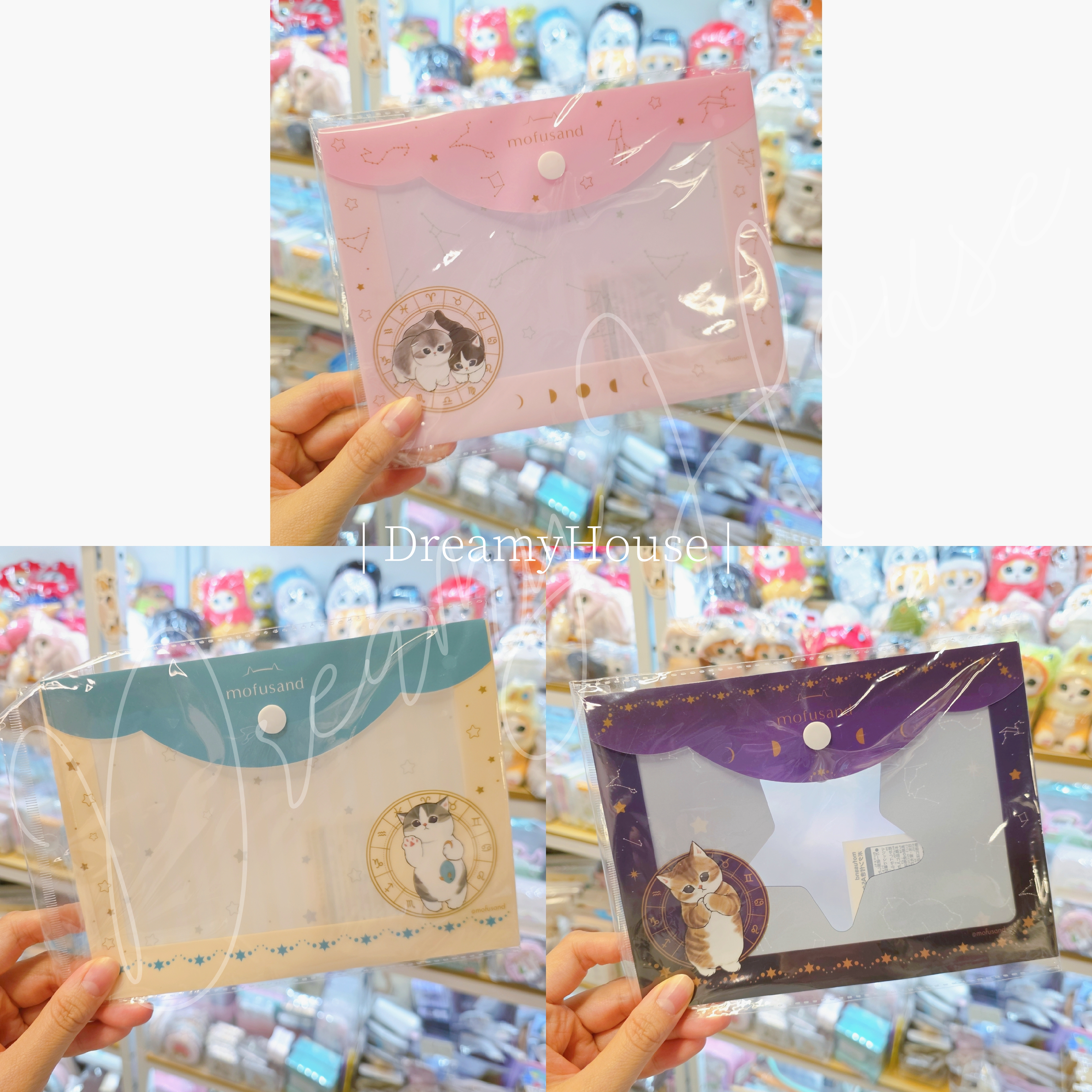 日本 Mofusand貓咪 鯊魚貓 B6文件夾