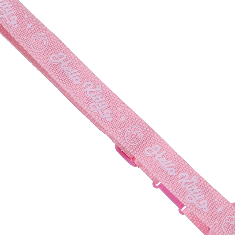 My Melody 350ml BPA Free Water Bottle With Straw & Neck Strap 膠水樽連飲管及頸繩