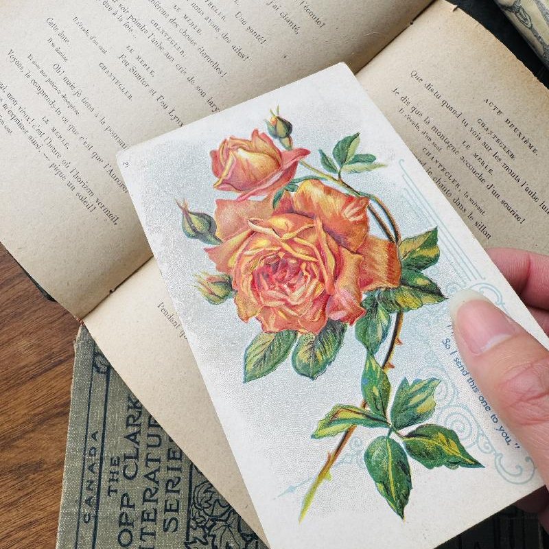Antique Early 1900s Rose Bud - Confession of Love Postcard (MT2305-5))