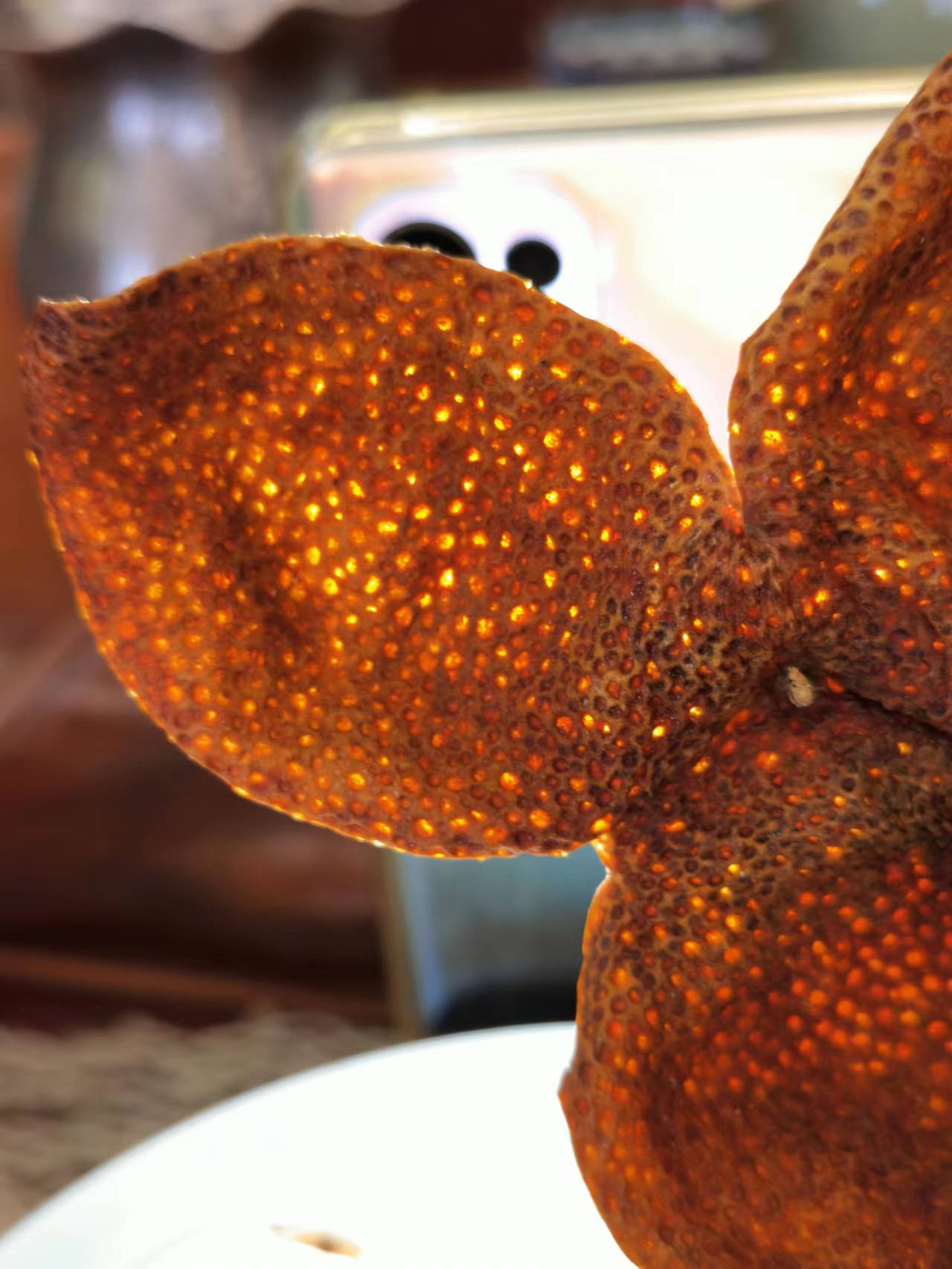 2015年 新會天馬大紅皮 - 40克