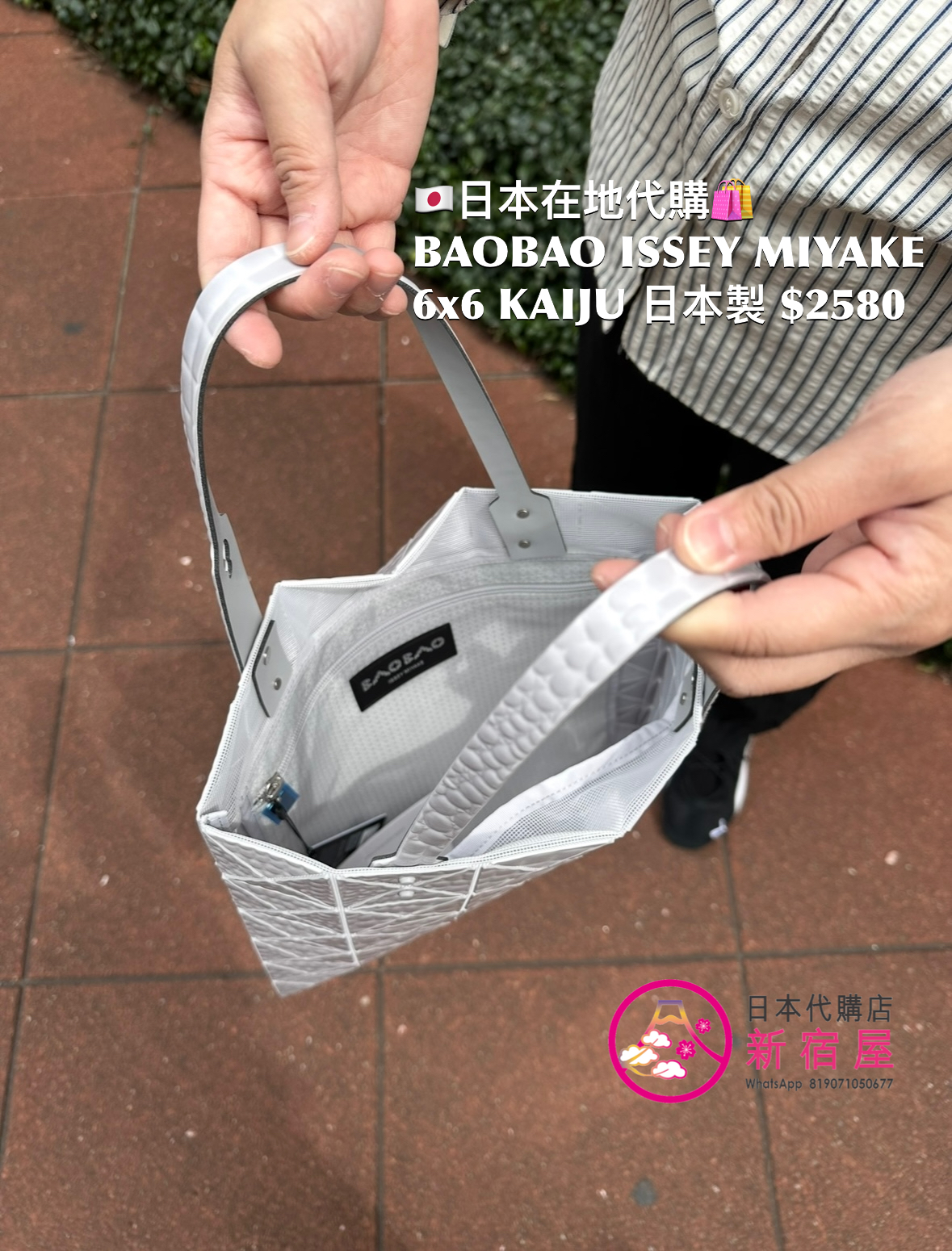 BAOBAO ISSEY MIYAKE 6x6 KAIJU