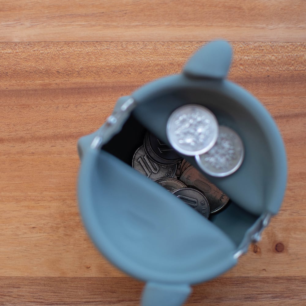 🆕【⭐訂購⭐】 🇯🇵日本直送 🌀#龍貓 矽膠 #散紙包/小物袋［2款選］🌀[ELAD-0212][260222]