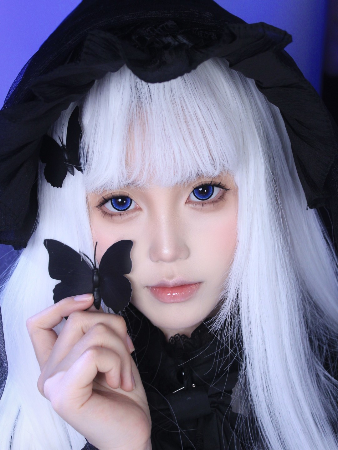 Dgugulens 日拋 大大顆系列