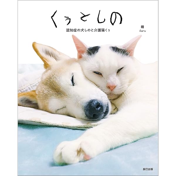 認知症之狗與看護貓寫真22294