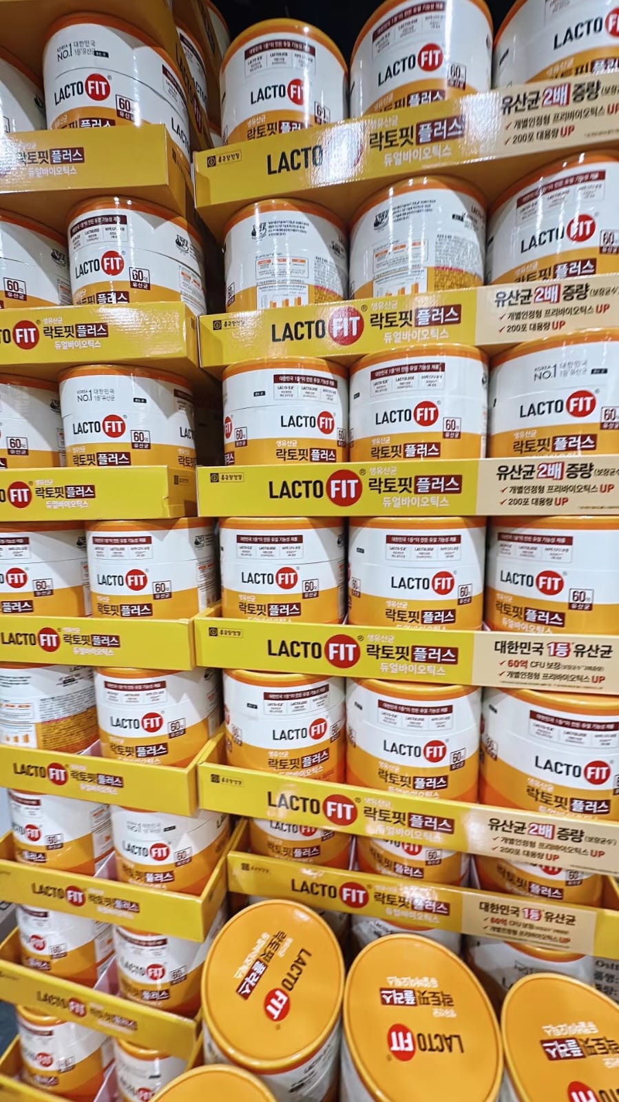 LACTO-FIT 💫益生菌雙重益生菌配方，每盒 60 條