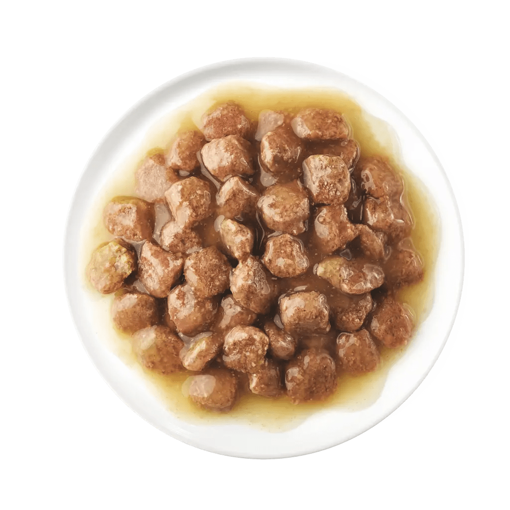 ADVANCE日常幼貓濕糧 – 雞肉 85g
