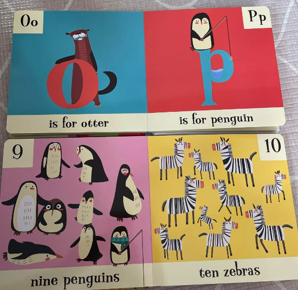 Look & See ABC 123 幼兒啟蒙 紙板書｜2 books｜海綿圓角