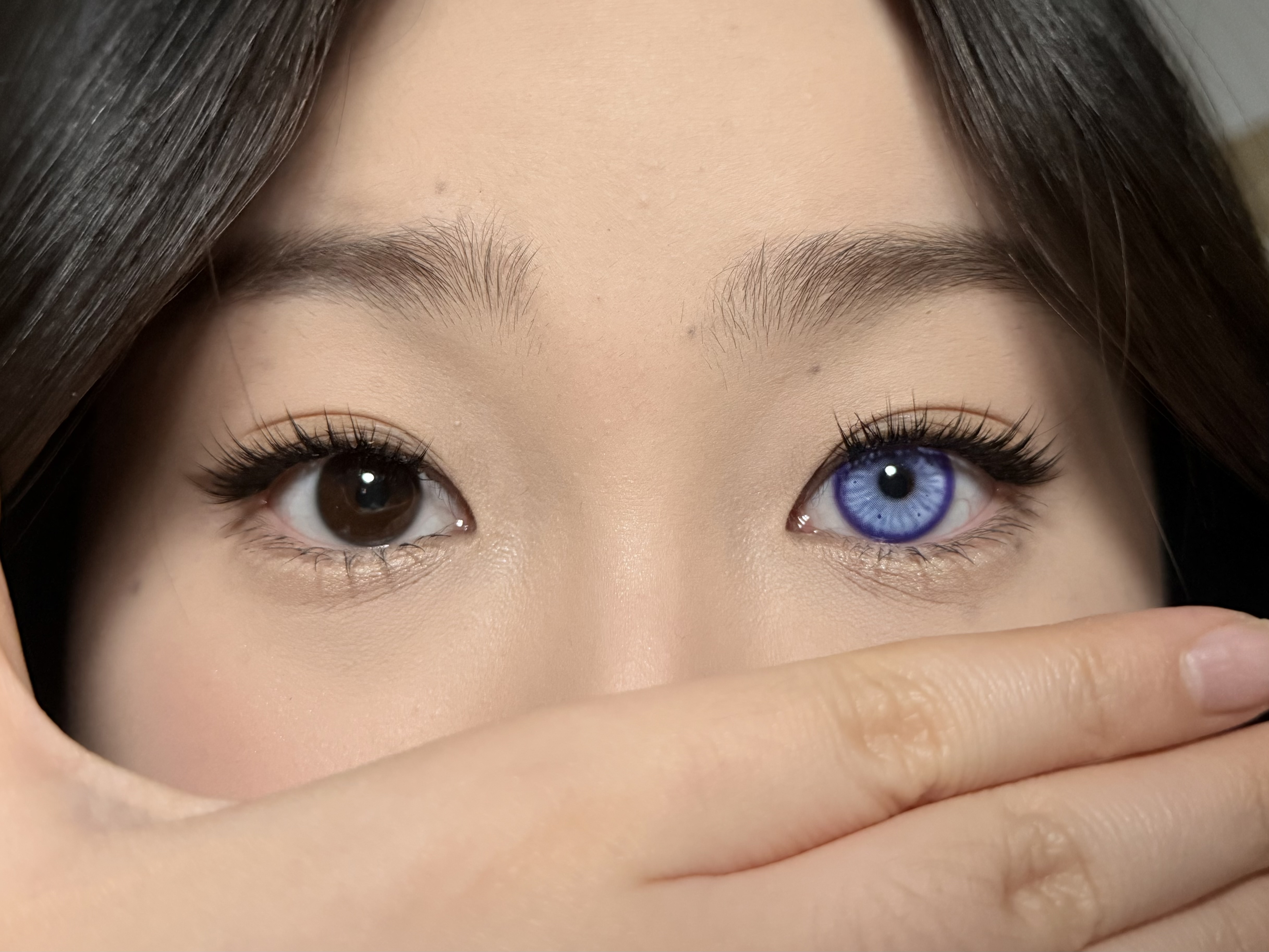 Serltyca 日拋6片裝 仿生人偶灰/紫