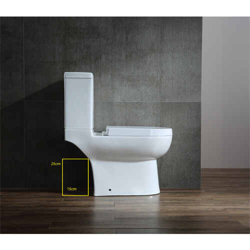 Richford R666 自由咀 納米座廁 (避枕頭位)