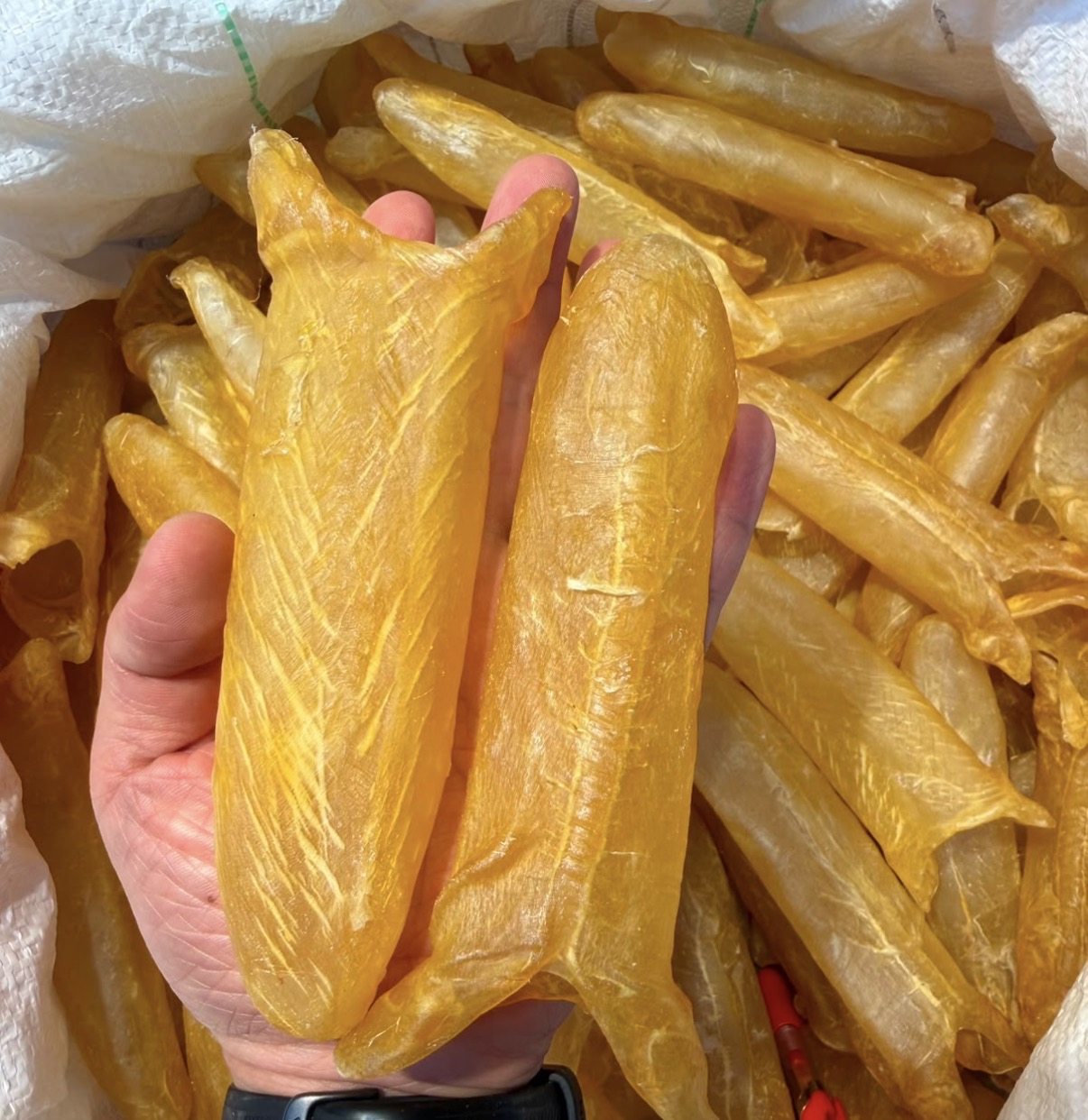 中秋必備 靚半斤裝
