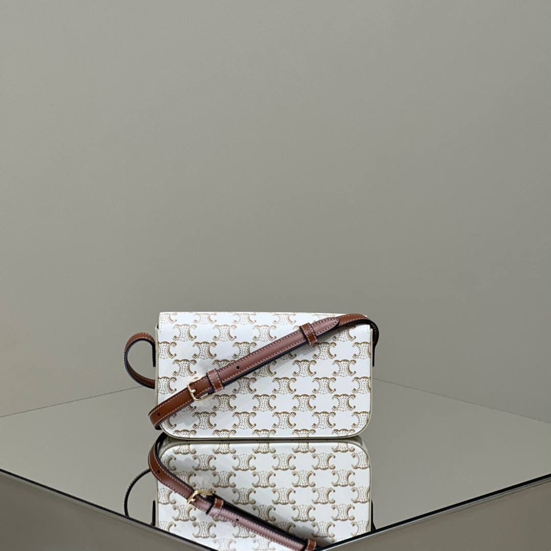 🔥大货实拍图 𝗖𝗘𝗟𝗜𝗡𝗘 ♥ 𝗧𝗥𝗜𝗢𝗠𝗣𝗛𝗘 𝗦𝗛𝗢𝗨𝗟𝗗𝗘𝗥 𝗕𝗔𝗚 型号：194142 尺寸：20*10*4cm