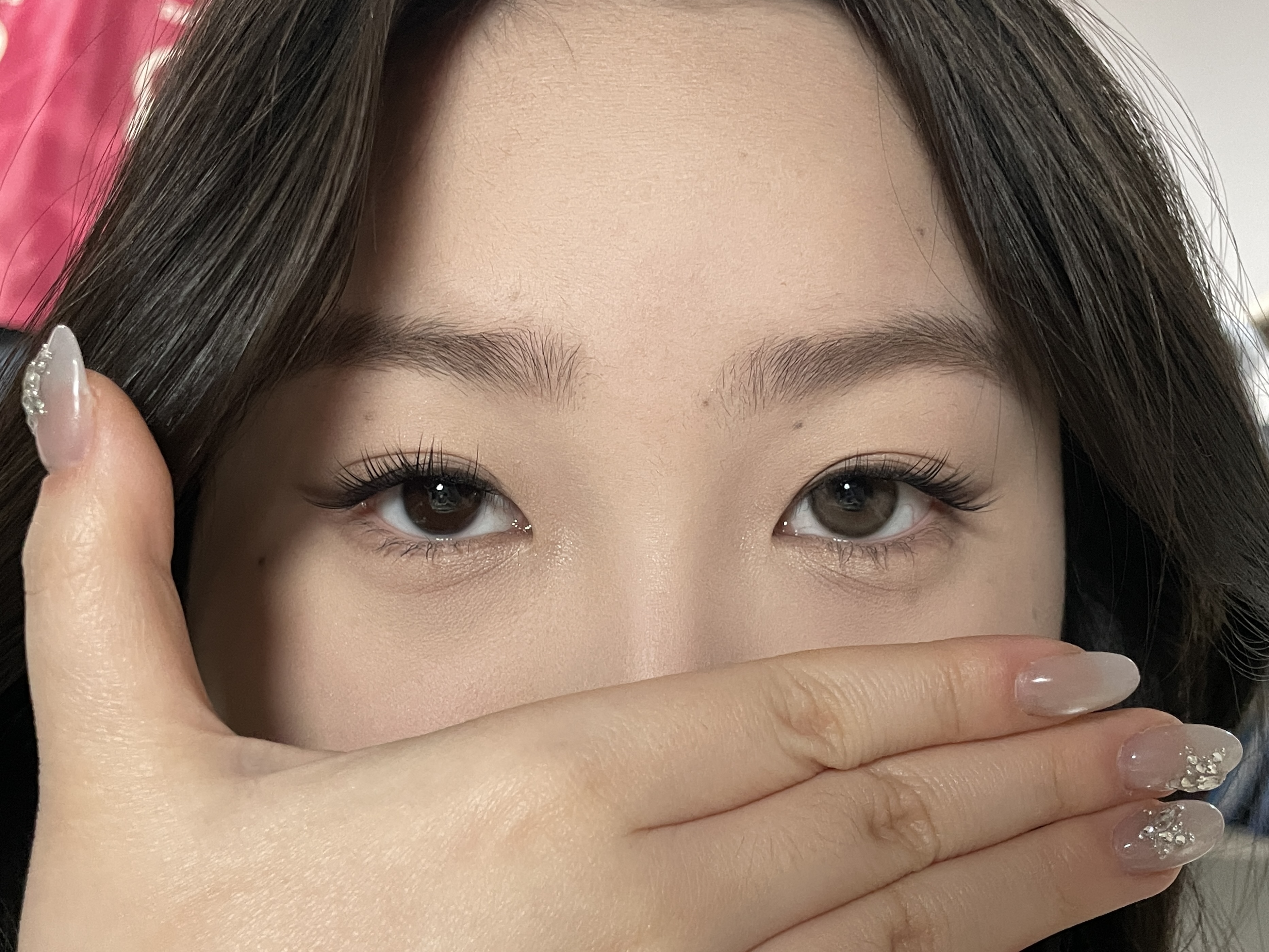 Serltyca 日拋6片裝 青木米灰/青木淺駝