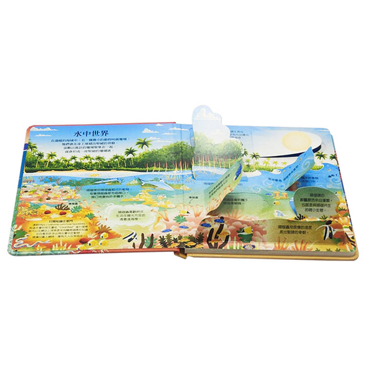 🔸預購貨品🔸Look inside-珊瑚礁