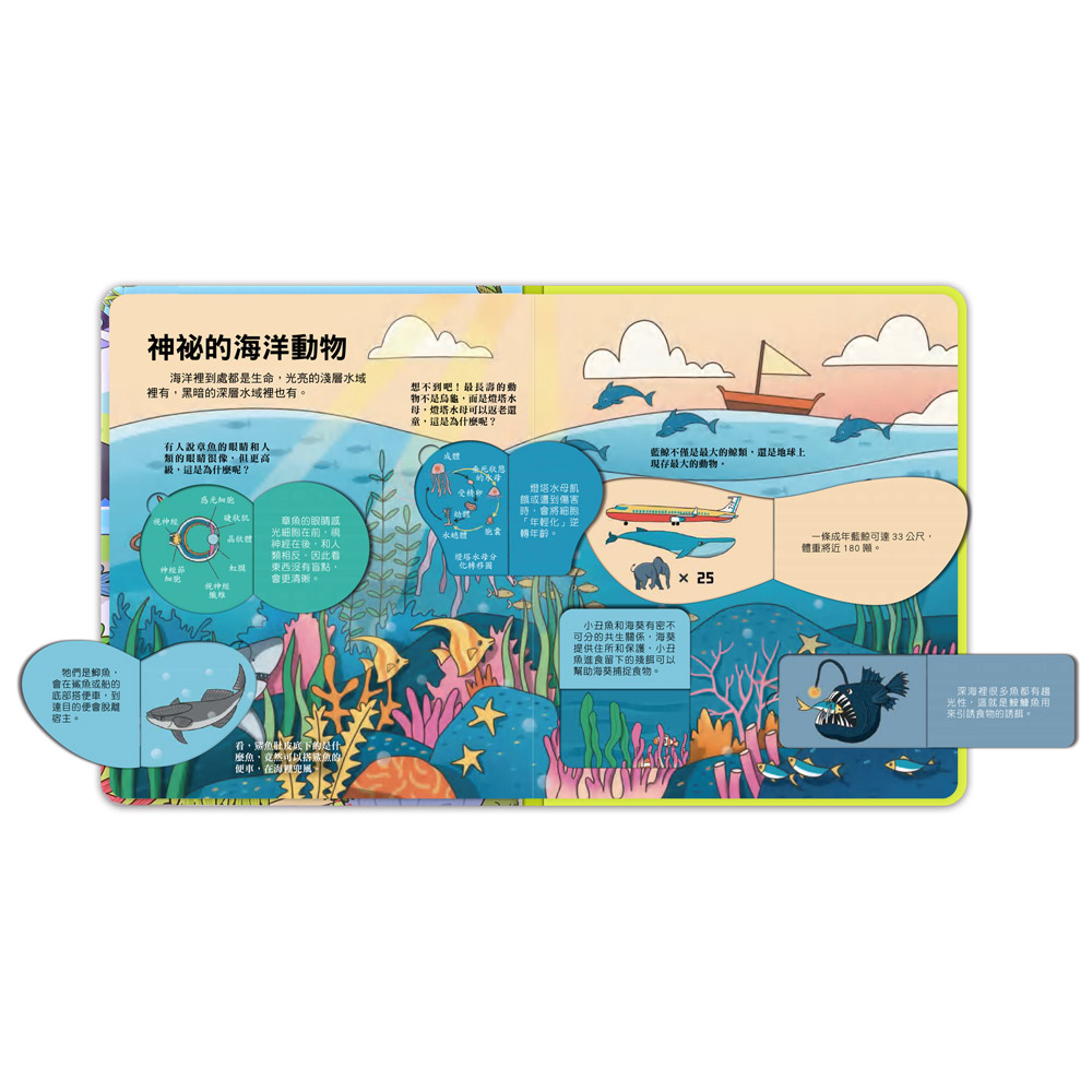 📚預訂 台灣直送📚百問百答圖解翻翻書-揭祕動物