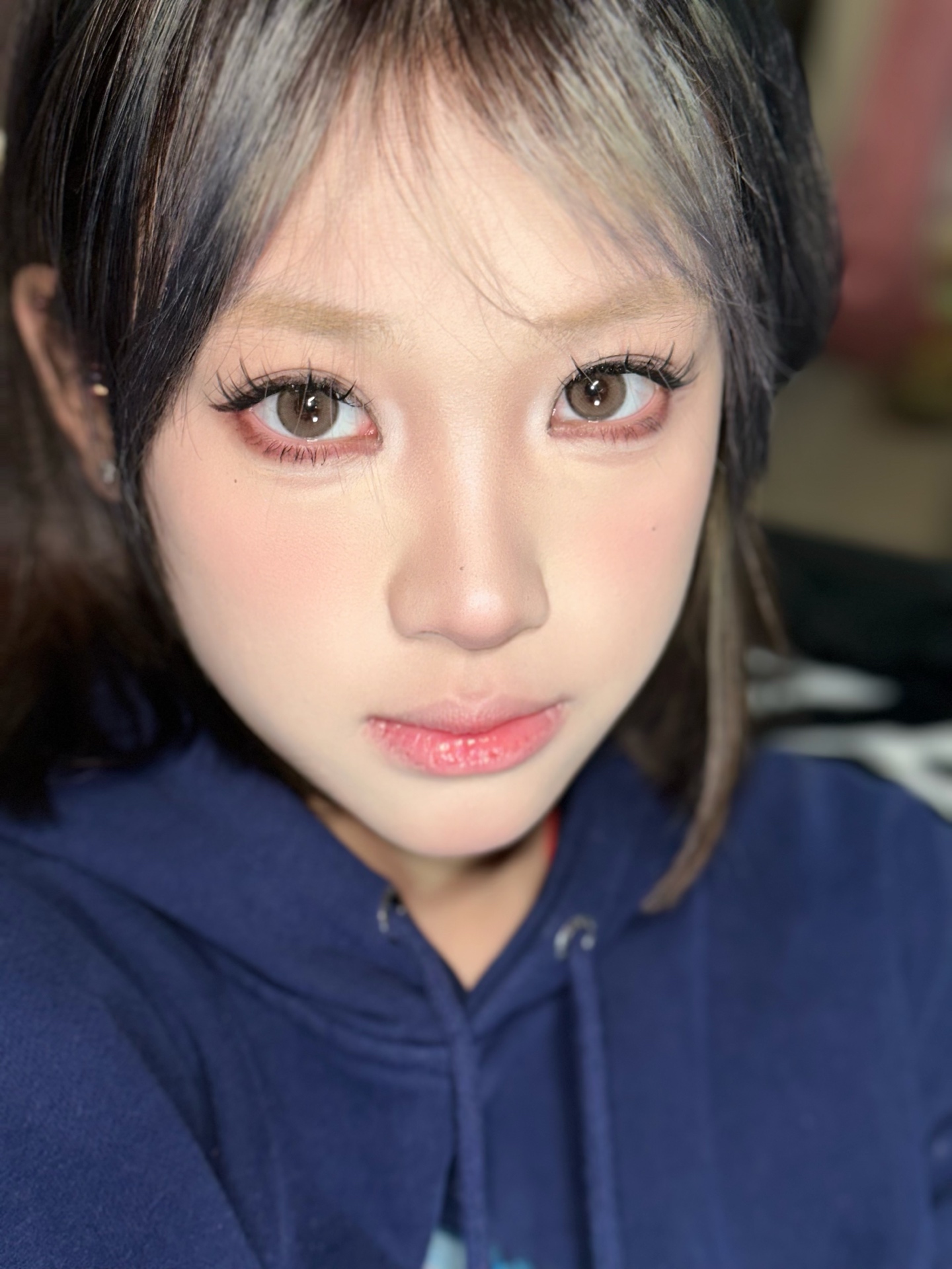 Serltyca 日拋6片裝 青木米灰/青木淺駝