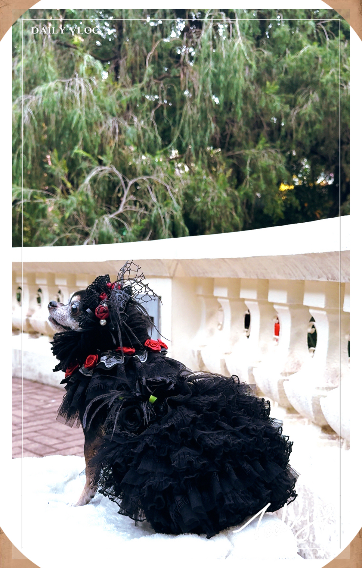 原創設計 暗黑者系列小禮服款&胸背帶款