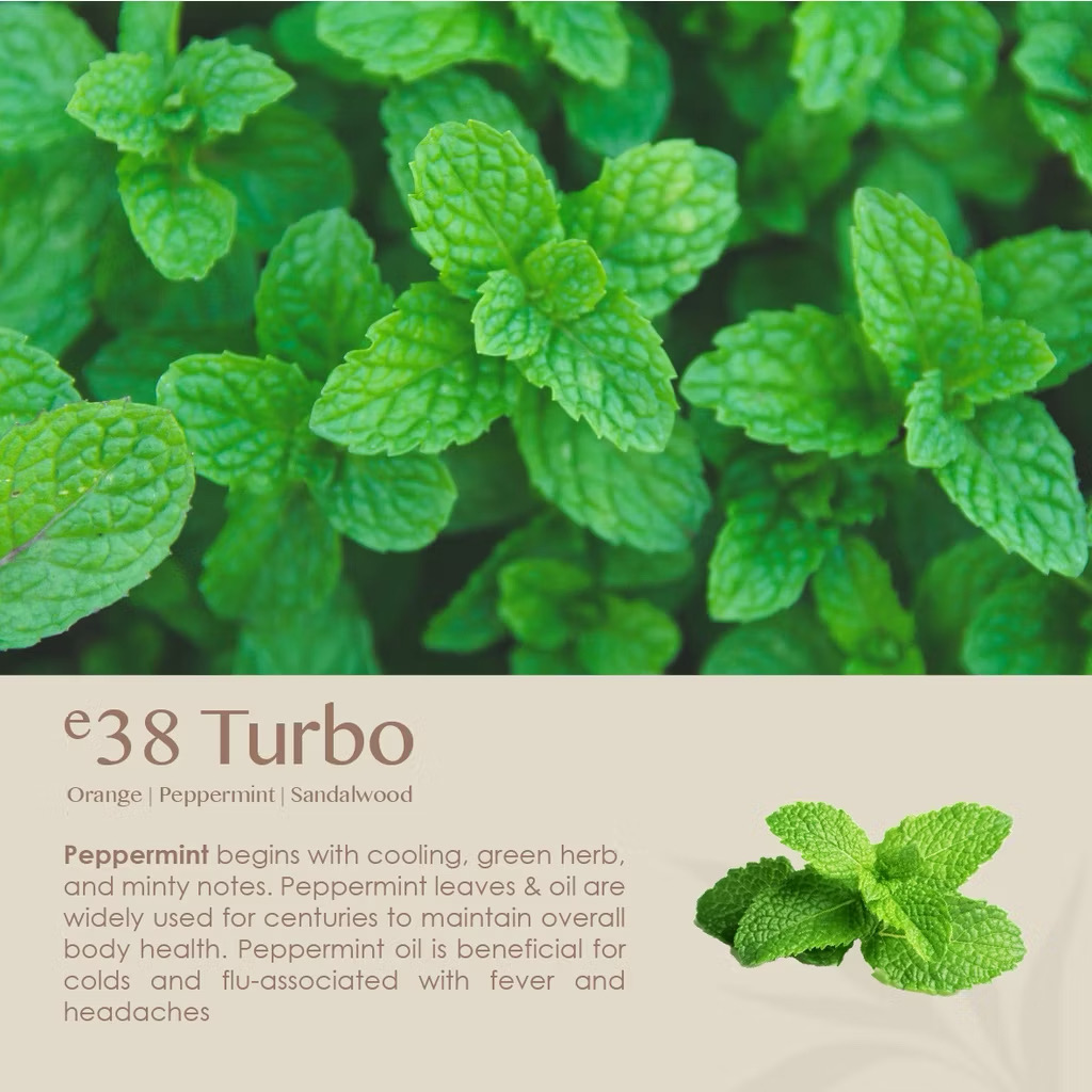 eBlend Turbo — Vital Surge (10ml)