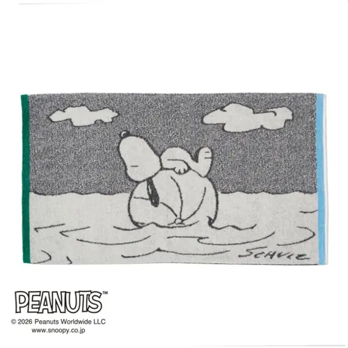 日本直送~新款Snoopy毛巾枕頭套 海灘藍色