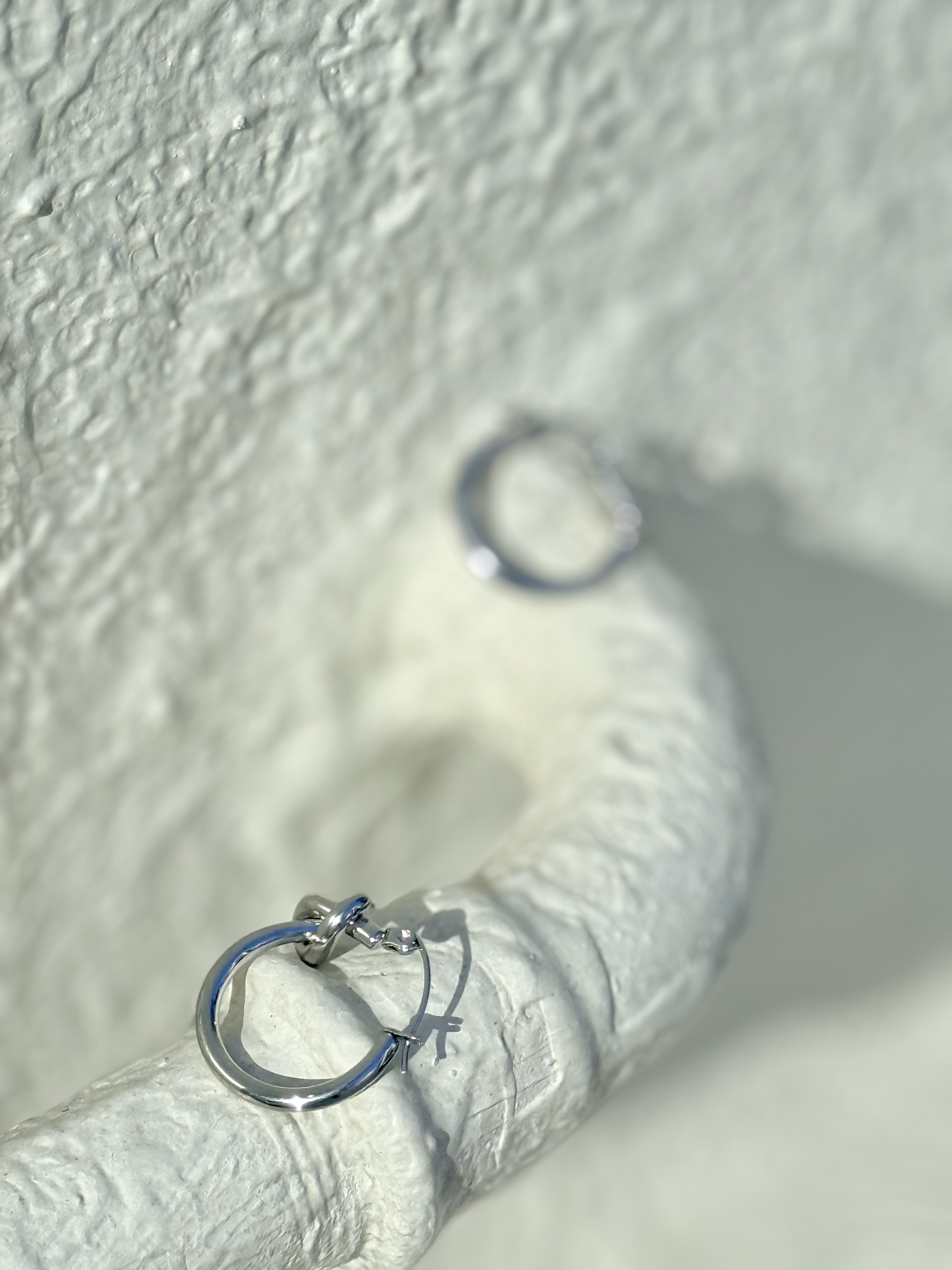 Sliver twist circle stainless earring