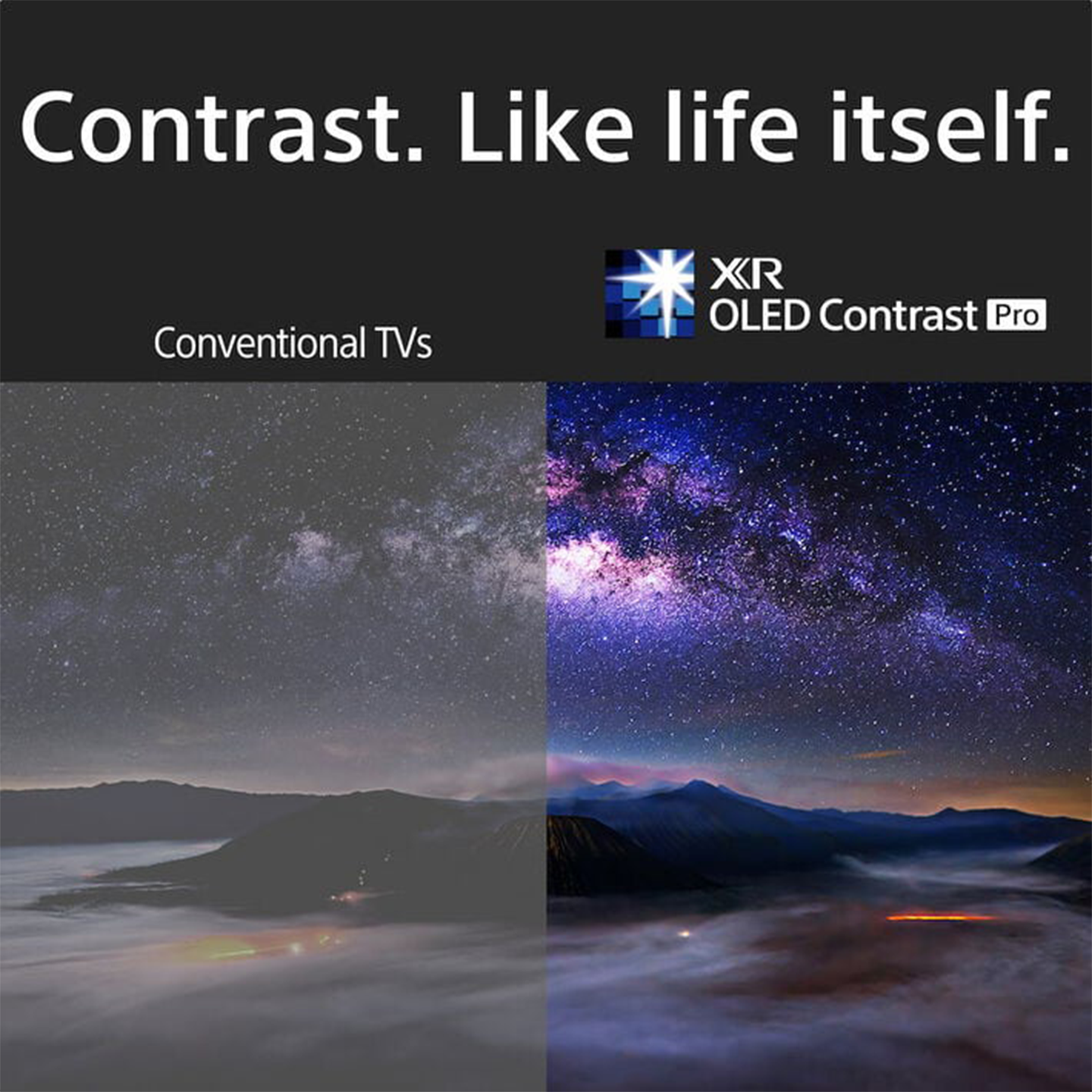 Sony 65" BRAVIA XR QD-OLED 4K Google TV (XR-65A95L)