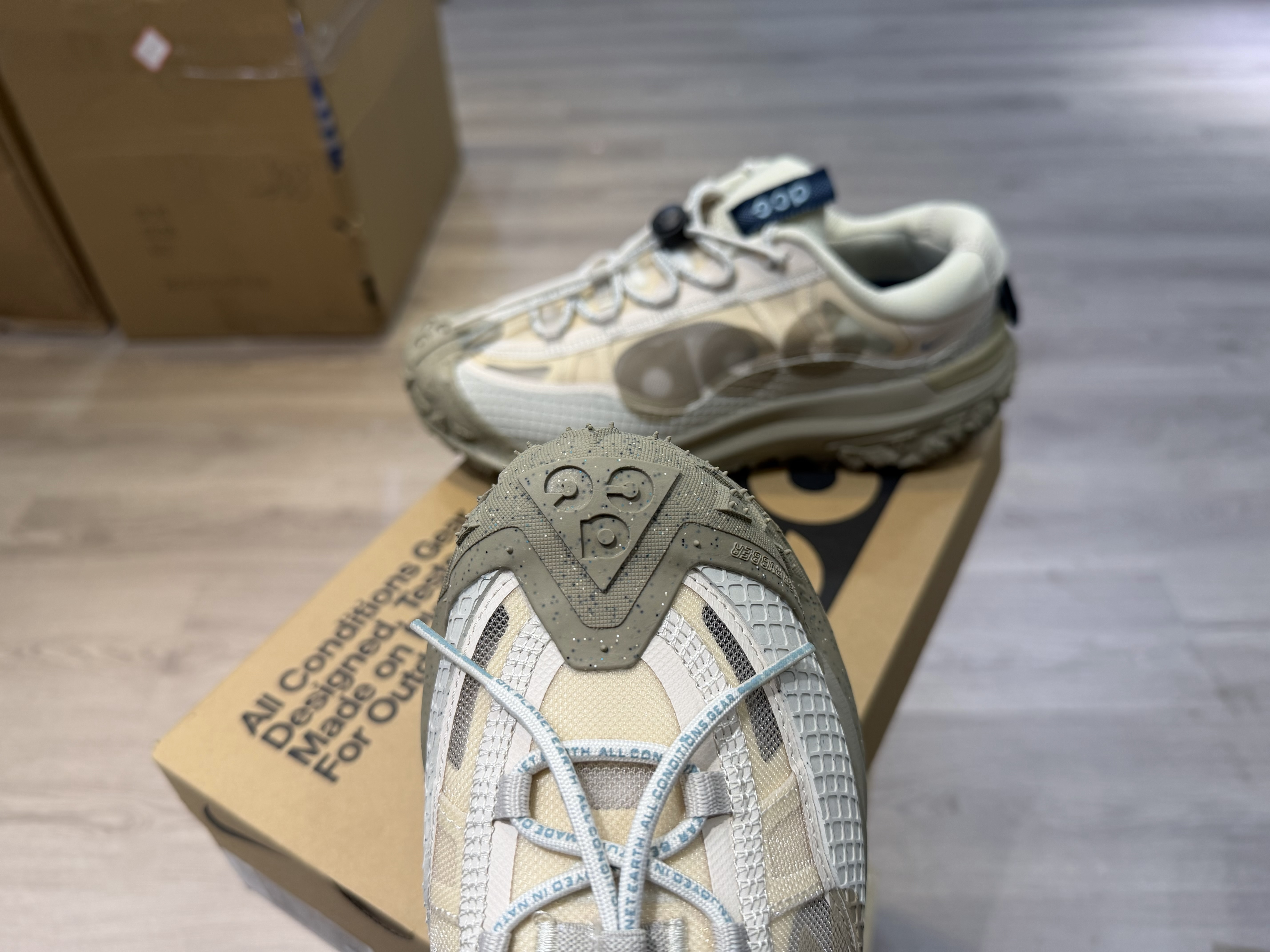 Nike ACG Mountain Fly 2 Low